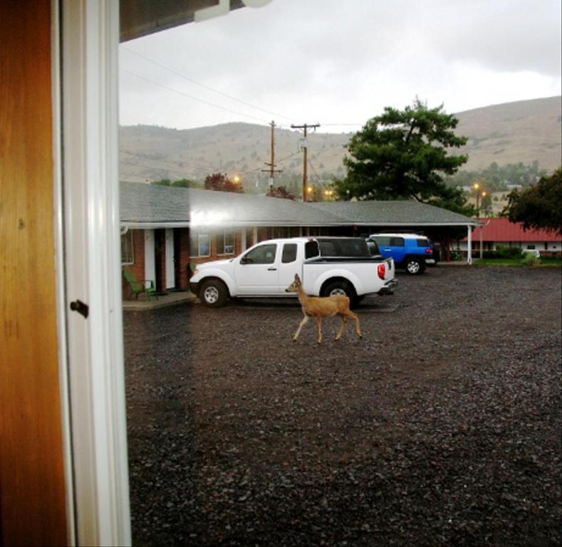Golden West Motel Klamath Falls Exteriör bild